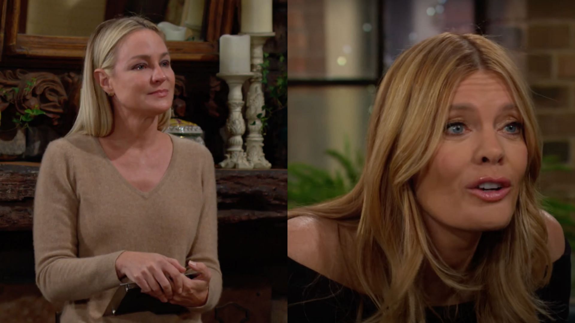 Sharon and Phyllis on The Young and The Restless (Image via Facebook/@The Young and The Restless, Youtube)