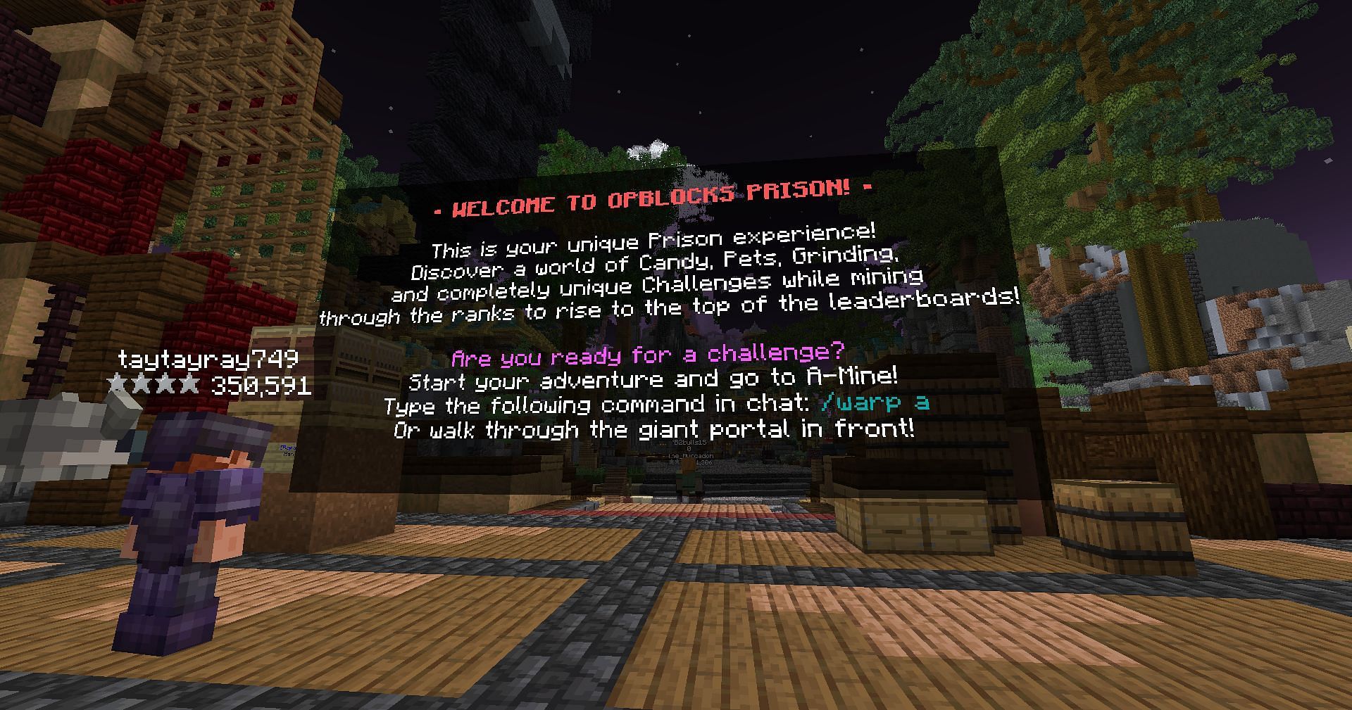 OPBlocks is a well-made server (Image via Mojang Studios)