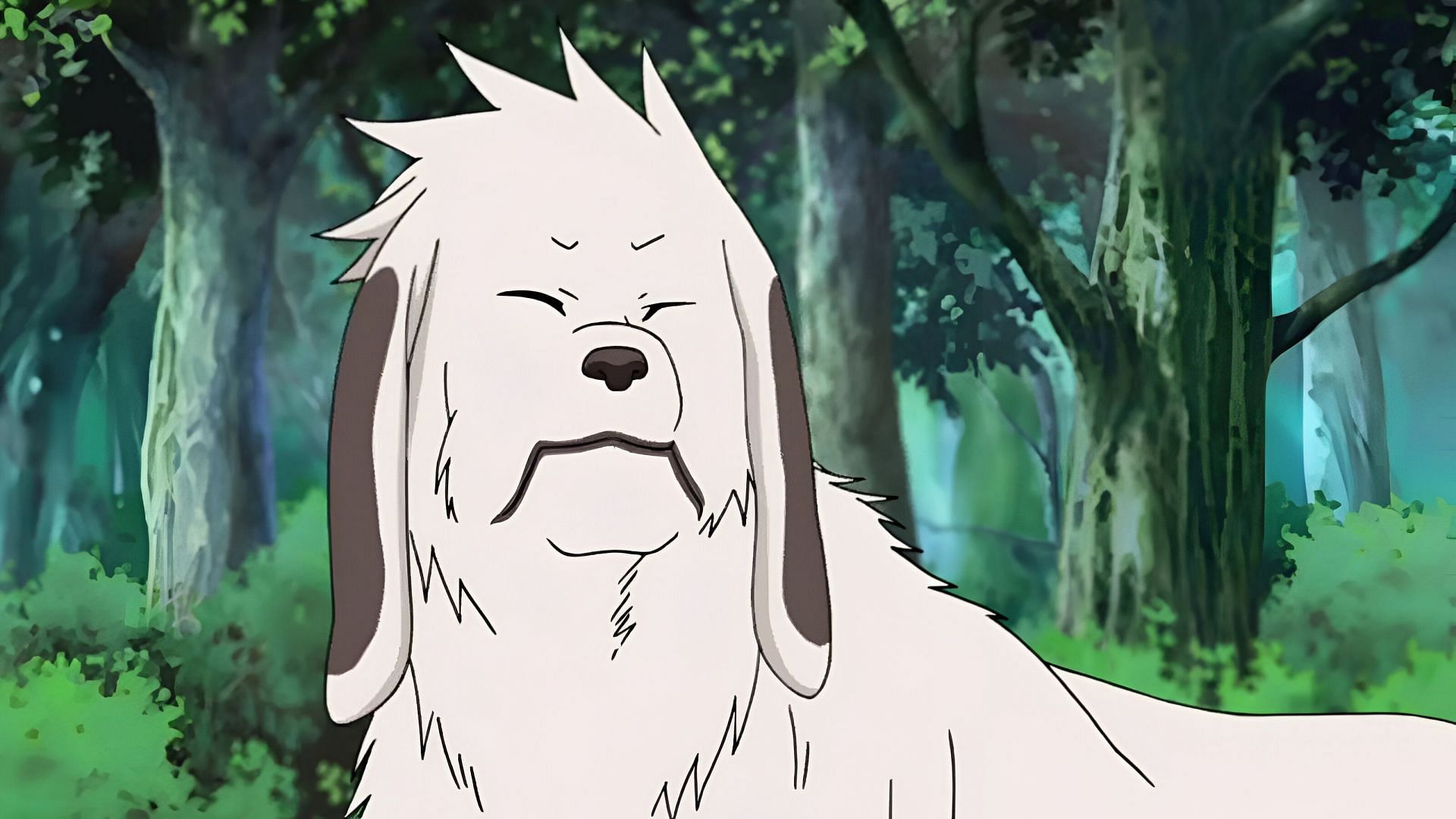 Akamaru, as seen in the anime (Image via Pierrot)