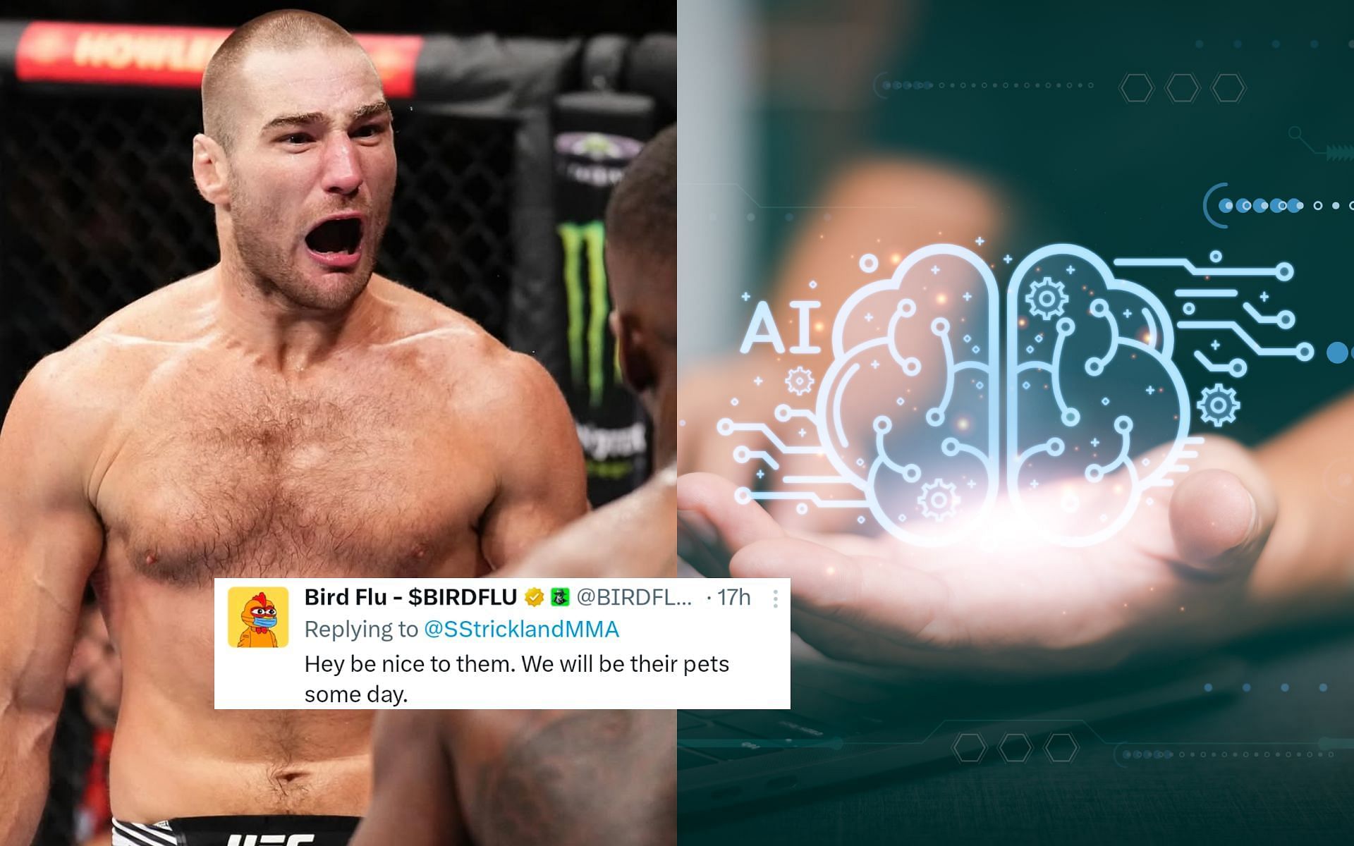 Fans react as Sean Strickland throws an NSFW temper tantrum about AI. [Images courtesy: @ufc and vecteezy.com]