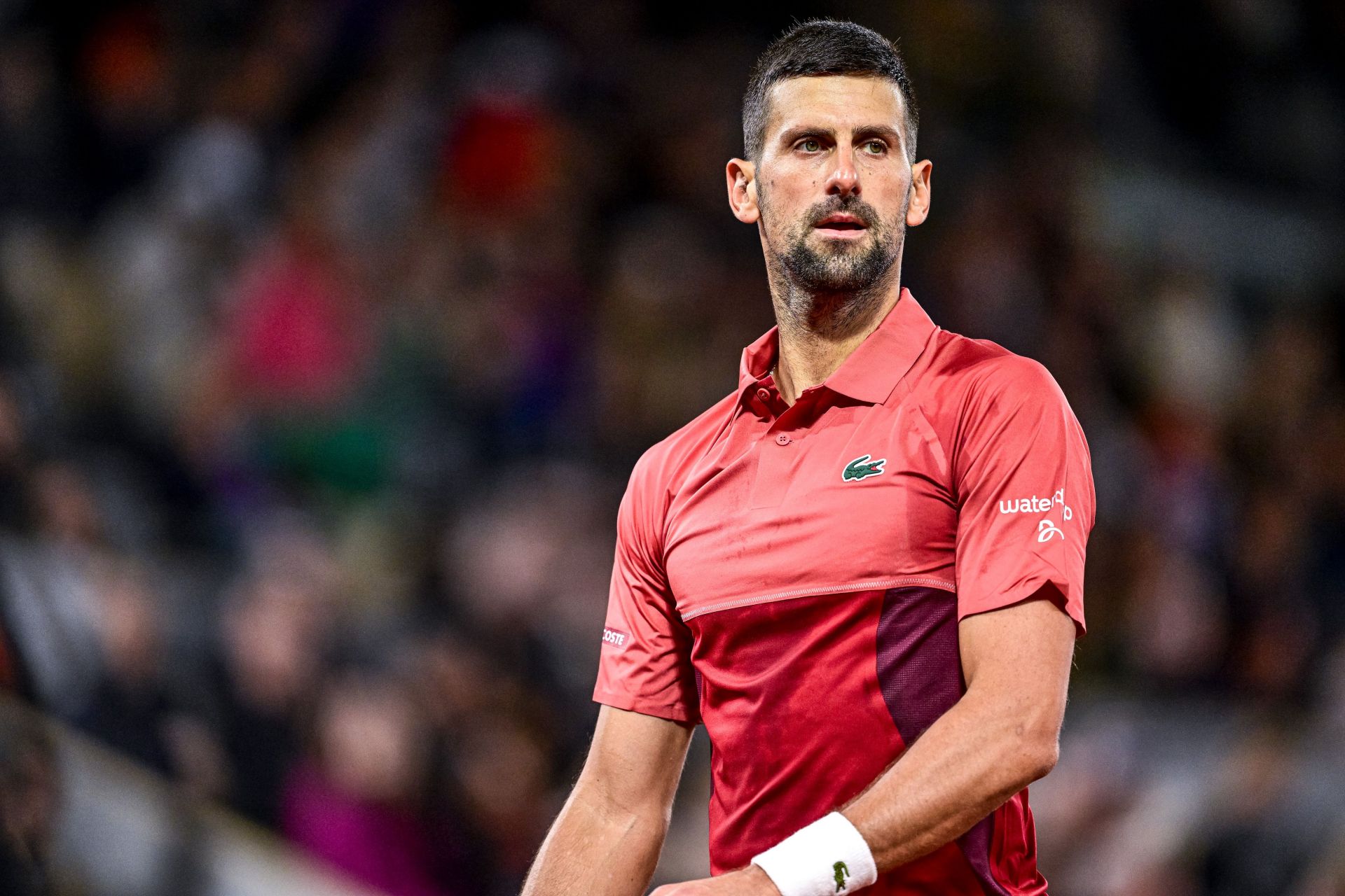 Novak Djokovic not bothered by shock Qatar Open loss as his goals lie elsewhere, claims former WTA pro