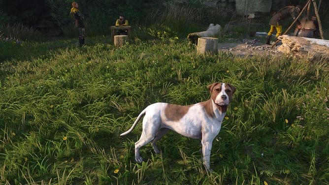 How to feed Mutt during Easy Riders quest in Kingdom Come Deliverance 2