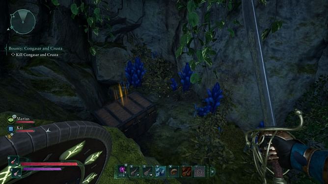 Avowed Treasure Map - Practical Pockets location