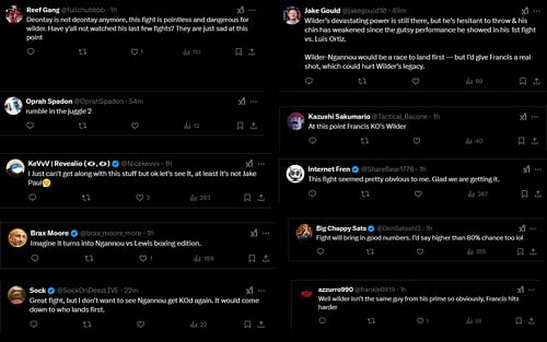 Screenshot of fan's reaction to Francis Ngannou's potential fight news with Deontay Wilder.
