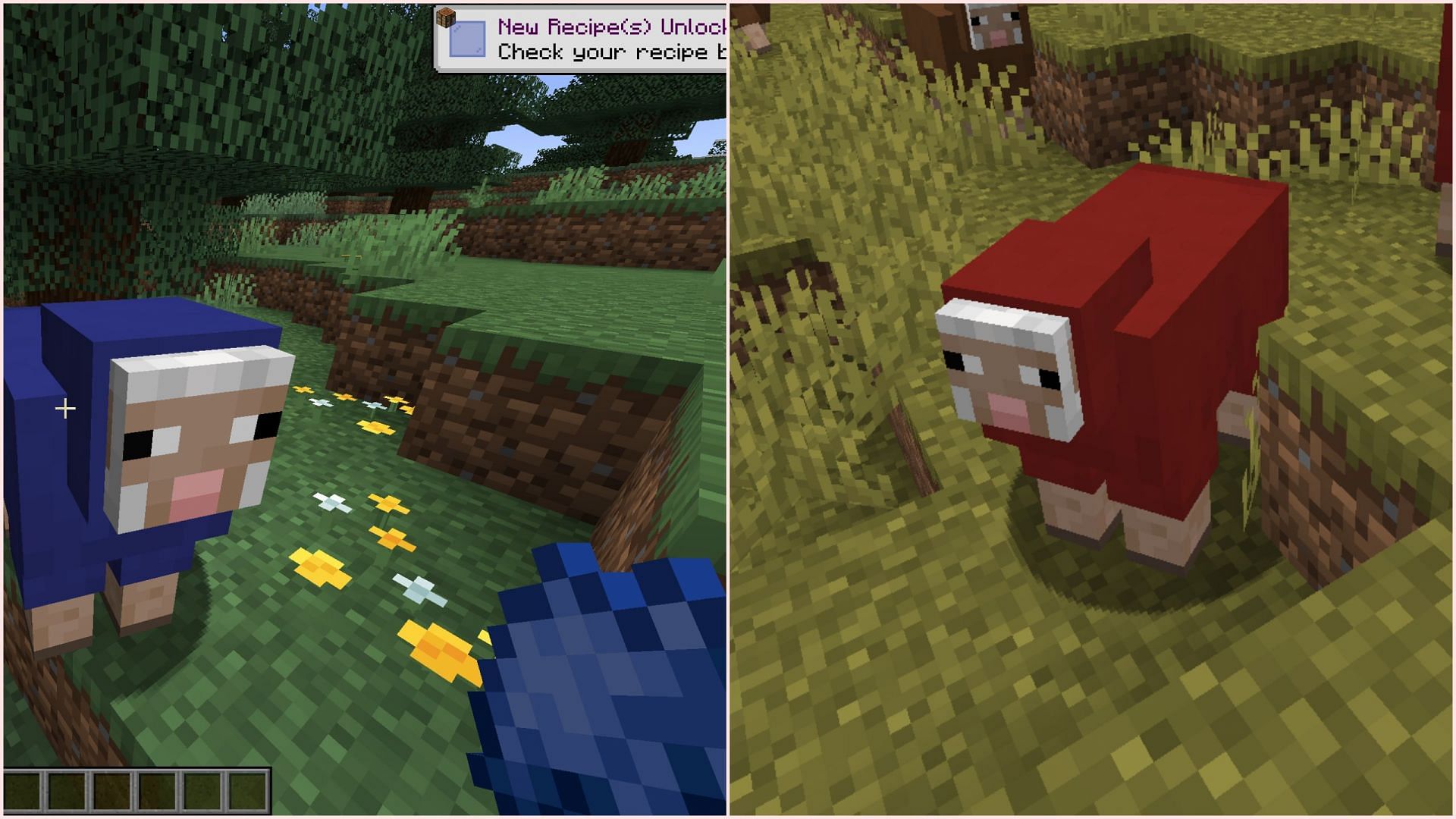 Some sheep variants that players created using dye will now spawn naturally (Image via Sportskeeda/Mojang)