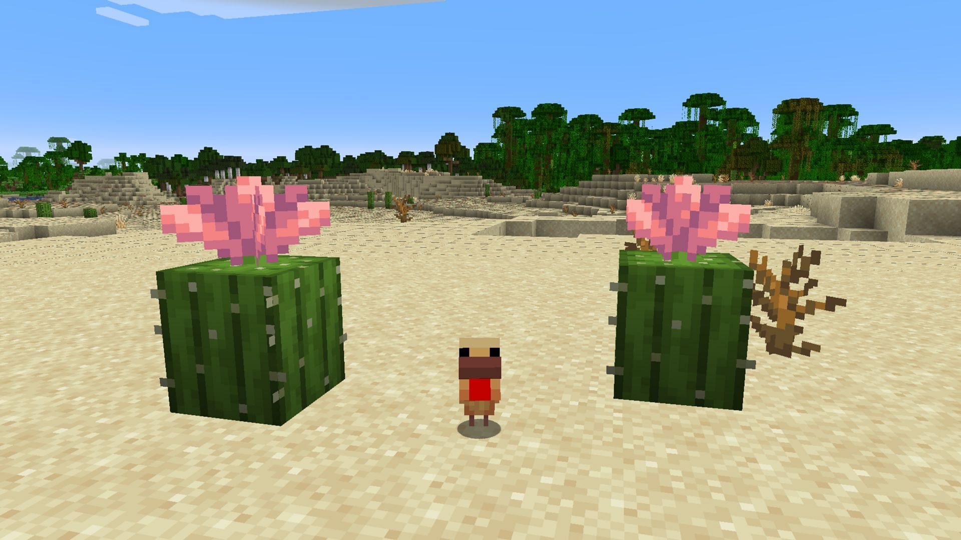 best features of Minecraft Snapshot 25w06a