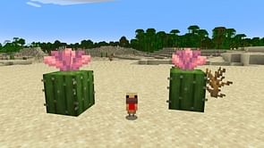 Best features and changes in Minecraft snapshot 25w06a