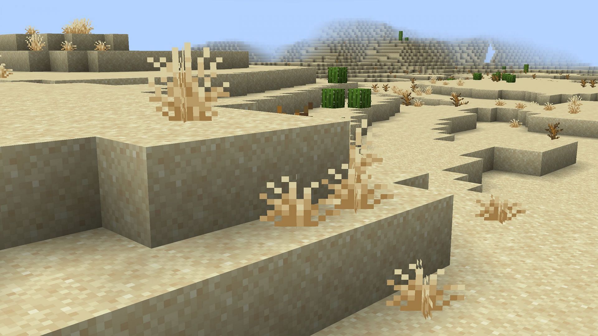 Lots of new dry grass blocks will be generated in both warm biomes (Image via Mojang Studios || Sportskeeda Gaming)