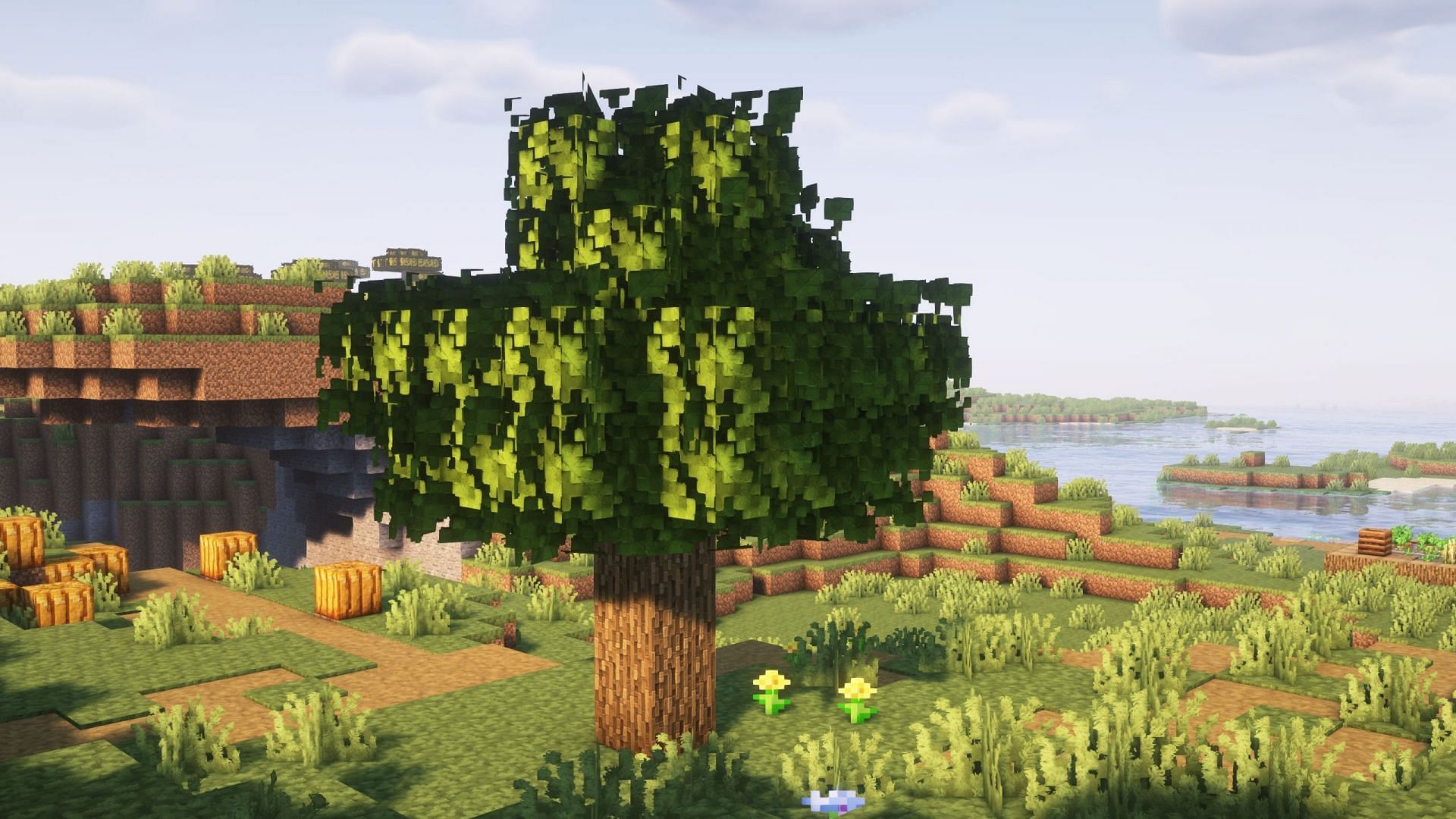 This pack adds extra layers of leaf particles to make leaf blocks more realistic (Image via Mojang Studios)