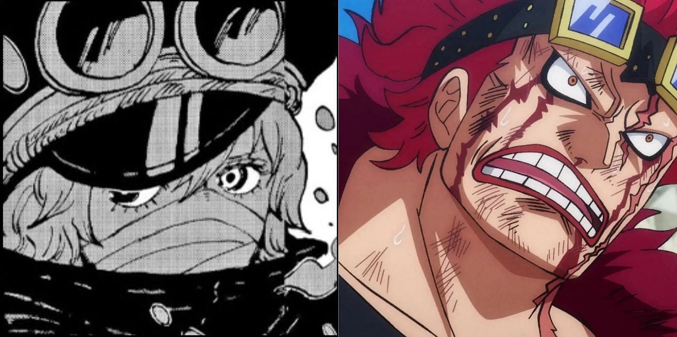 One Piece could have a plot twist regarding Kid