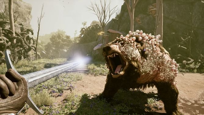 Avowed Lore and Gameplay Primer: Things to know before you begin