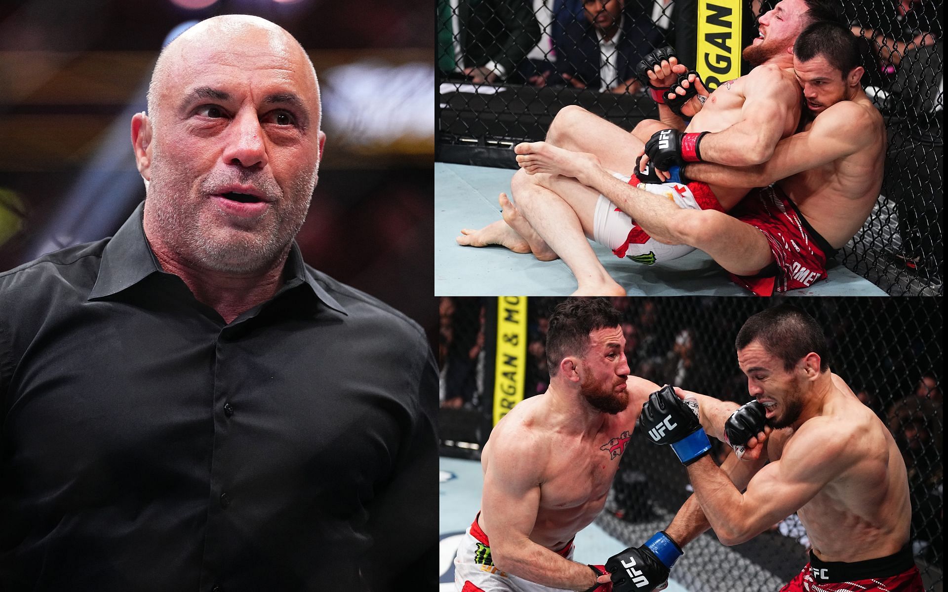 Joe Rogan talks about the result of Merab Dvalishvili vs. Umar Nurmagomedov clash. [Images courtesy: Getty]