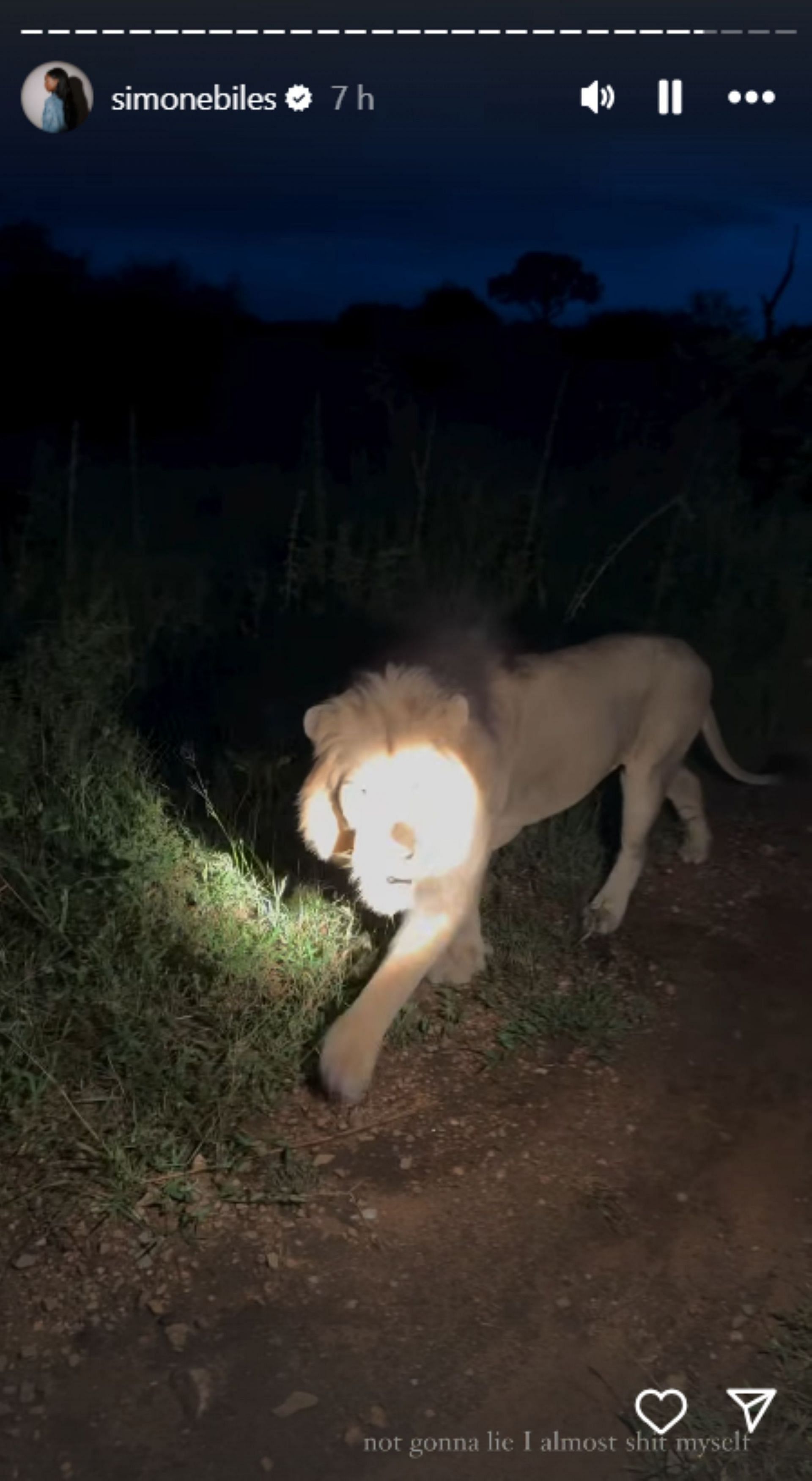 Simone Biles&#039; close encounter with a lion on safari; Instagram - @simonebiles