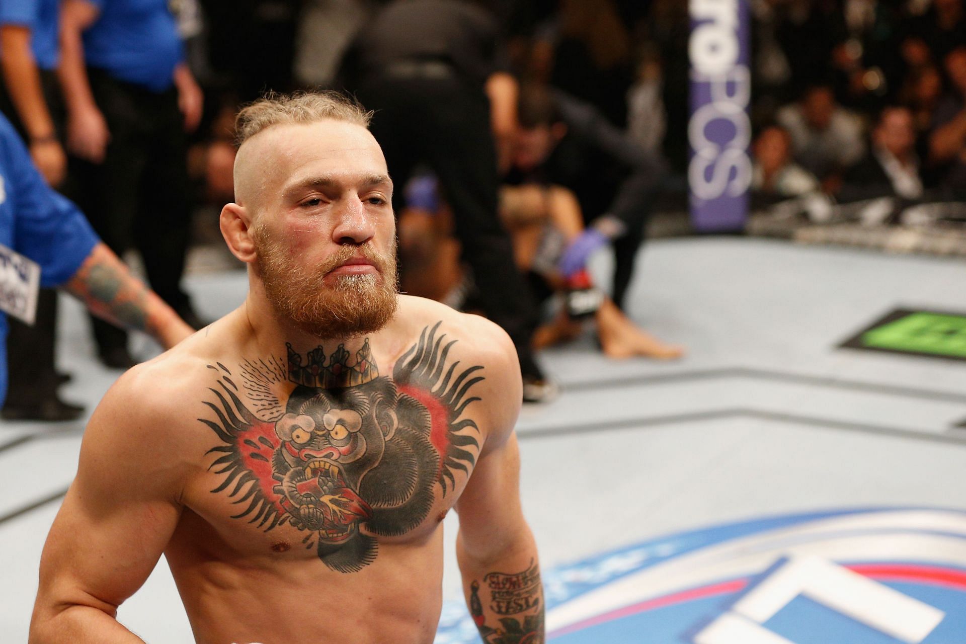 UFC 178 - Poirier v McGregor - Source: Getty