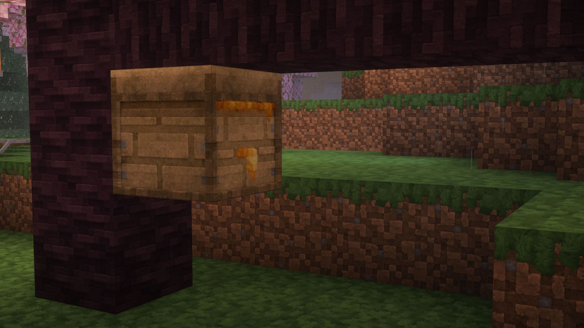 There is a simple trick to get bees inside a beehive (Image via Mojang Studios)