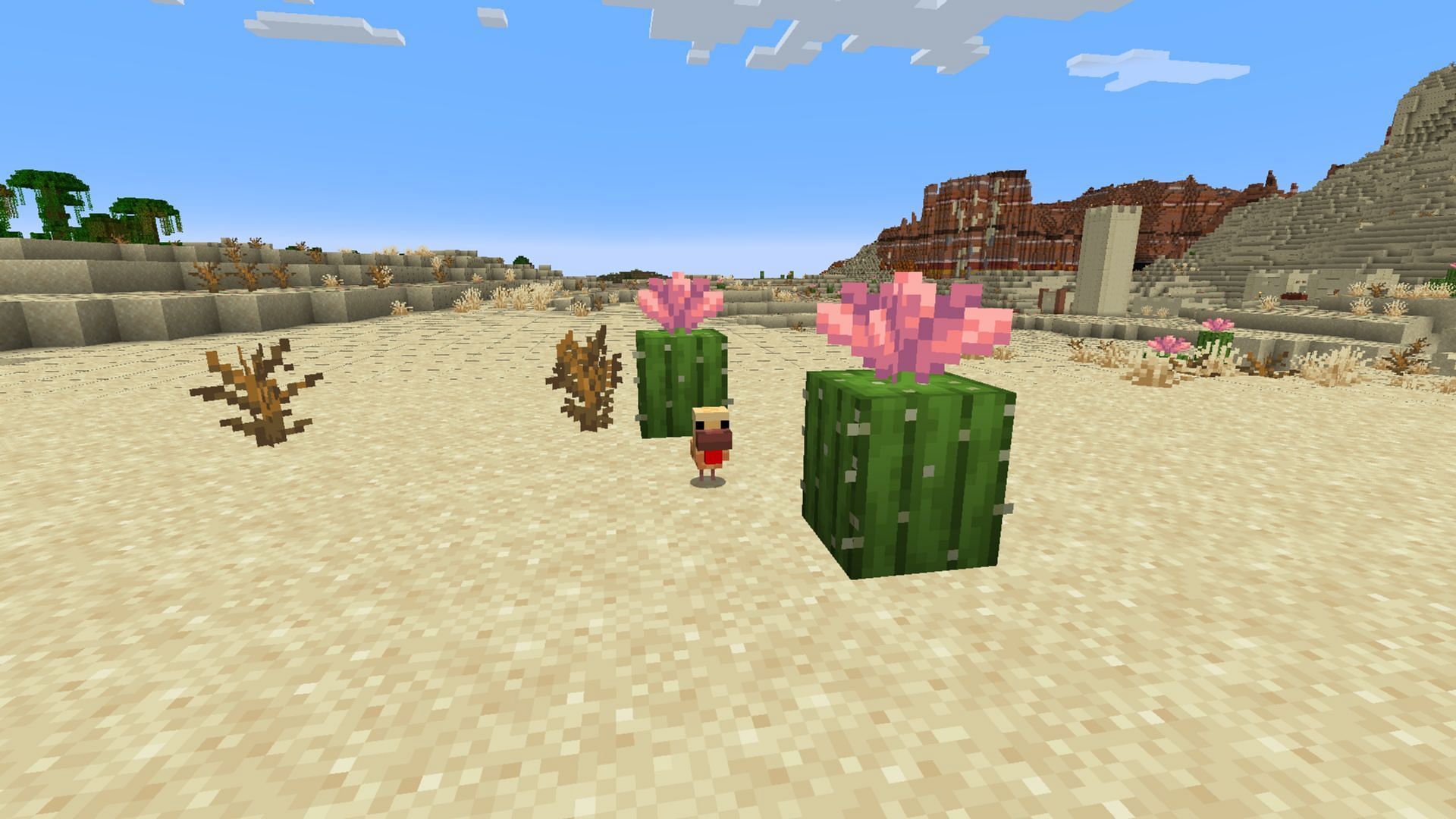 The Minecraft Bedrock 1.21.70.22 beta and preview introduces cactus flowers and new mob variants (Image via Mojang Studios)