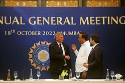“IPL mein iski baat hui thi” - Senior BCCI official discusses the idea of an official cricket video game [Watch]