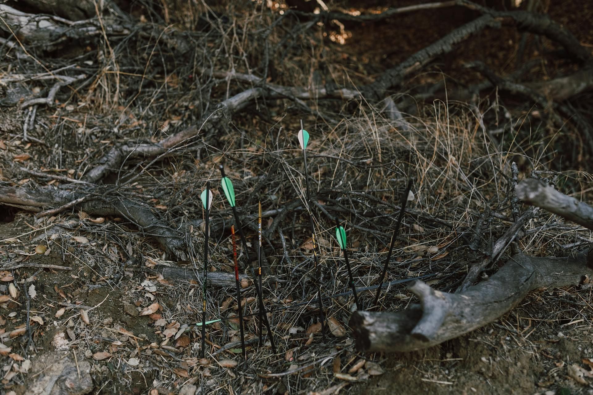 Rhys&#039; dismembered head and hands were found in Vernon Marsh in Waukesha County.(Image via Pexels)