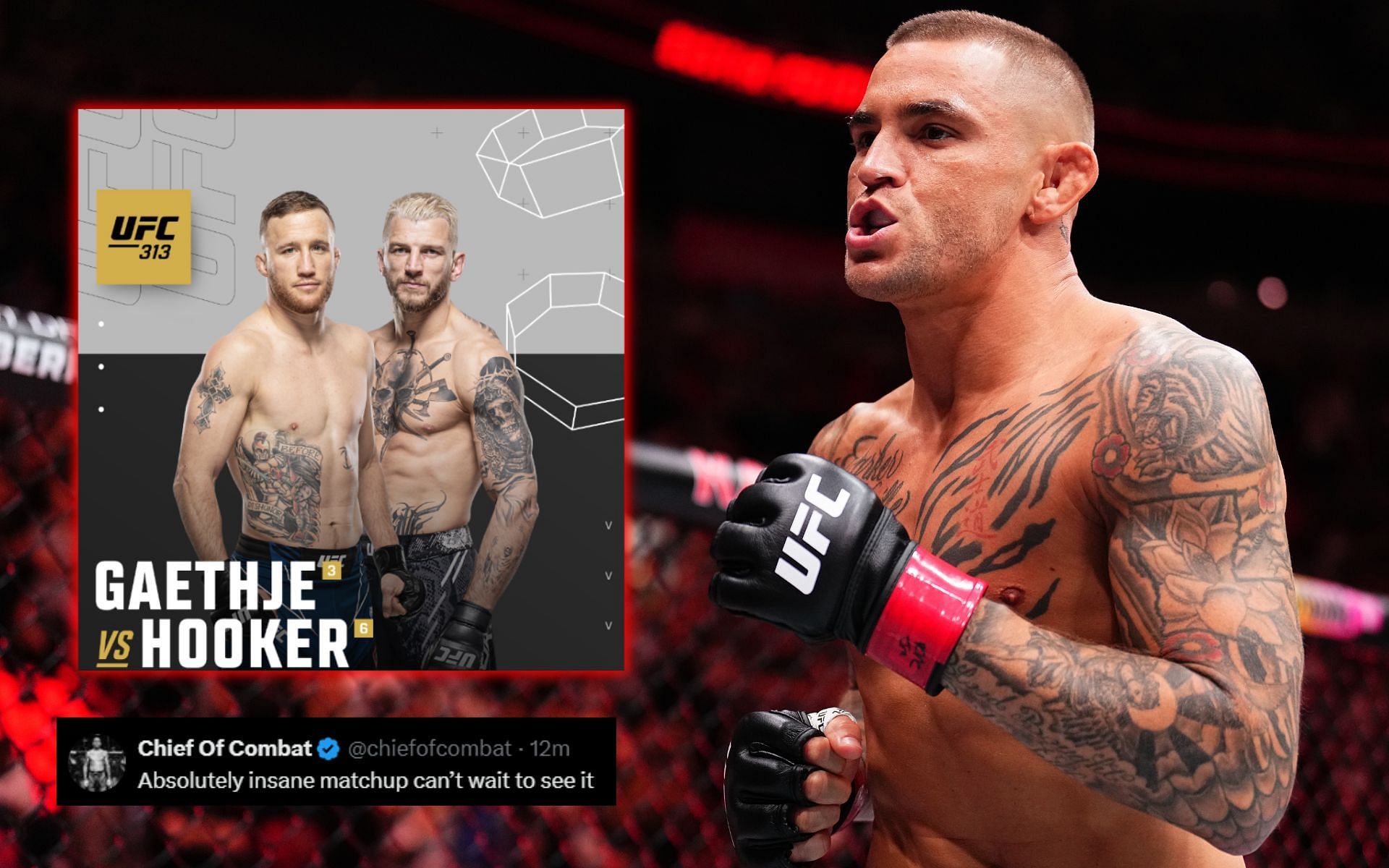 Fans react to Dustin Poirier