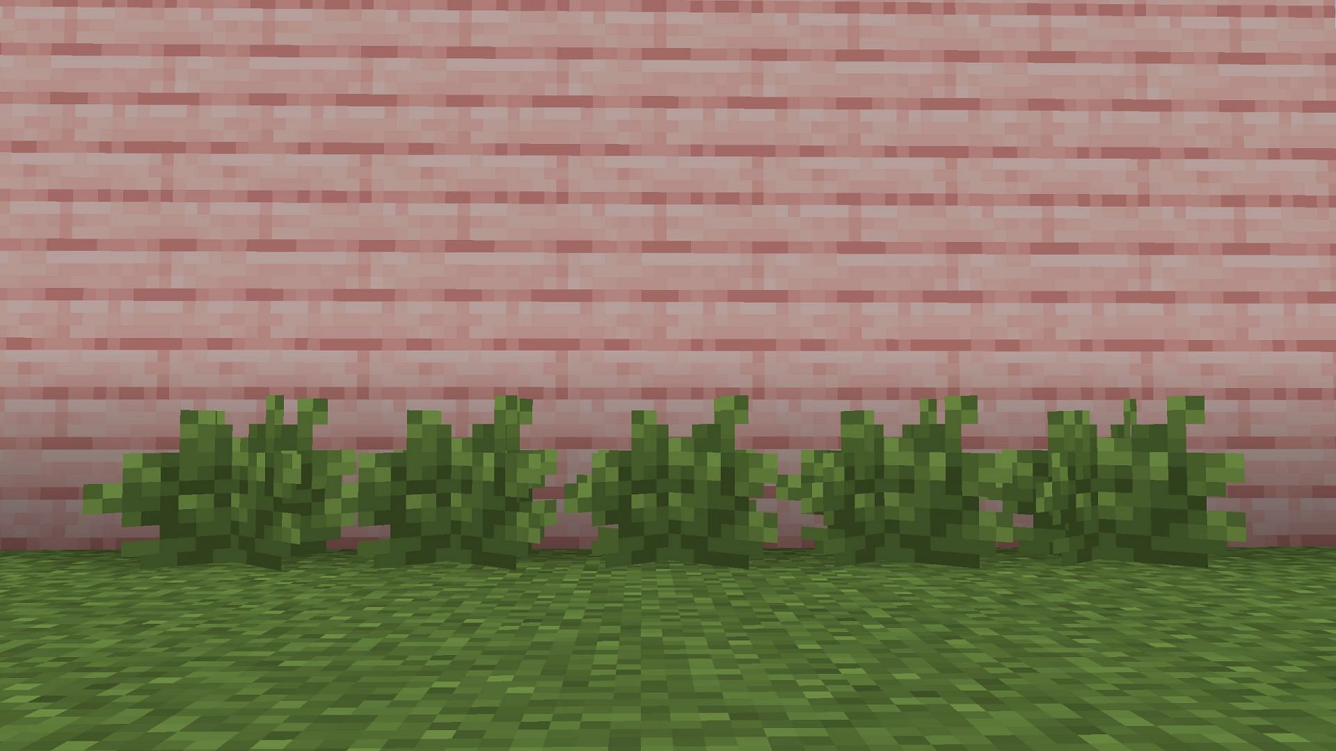 Bush will be a simple vegetation block in Minecraft (Image via Sportskeeda Gaming || Mojang Studios)