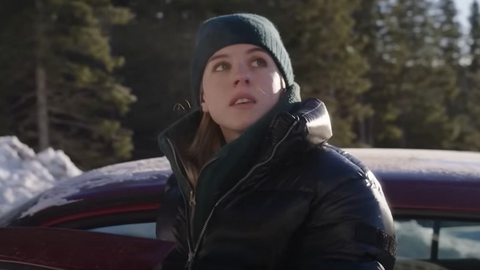 A still from The &Aring;re Murders (Image via Netflix)