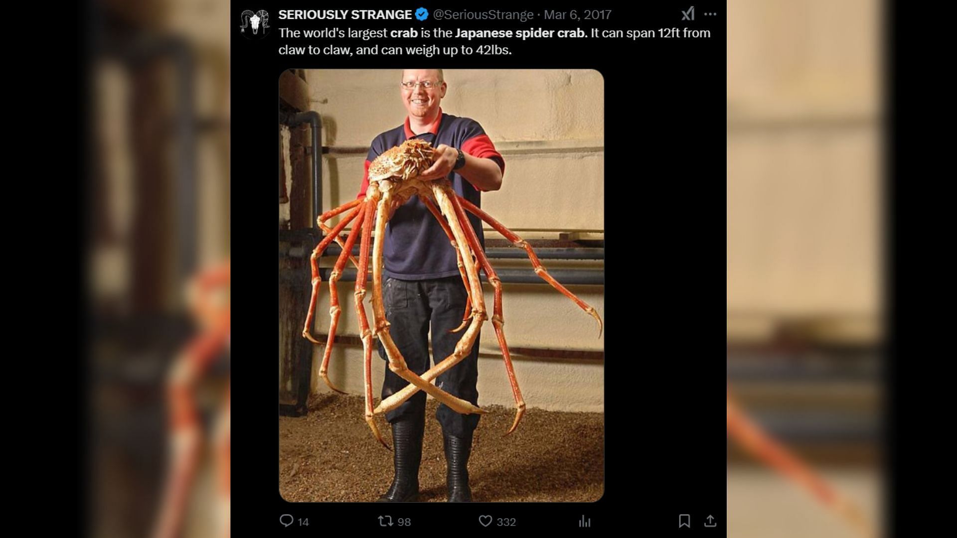 The huge Japanese spider crab should be a part of Grand Theft Auto 6 (Image via X)