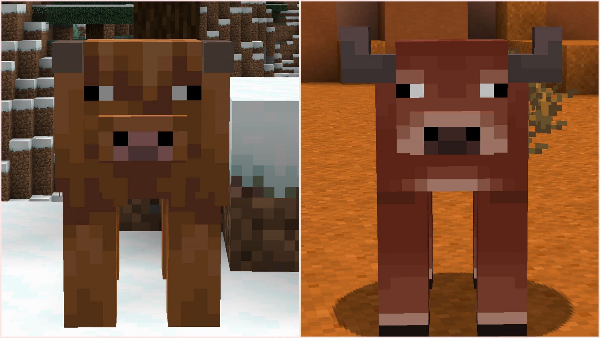 Minecraft will soon release two new cow variants in the upcoming game drop (Image via Mojang Studios)