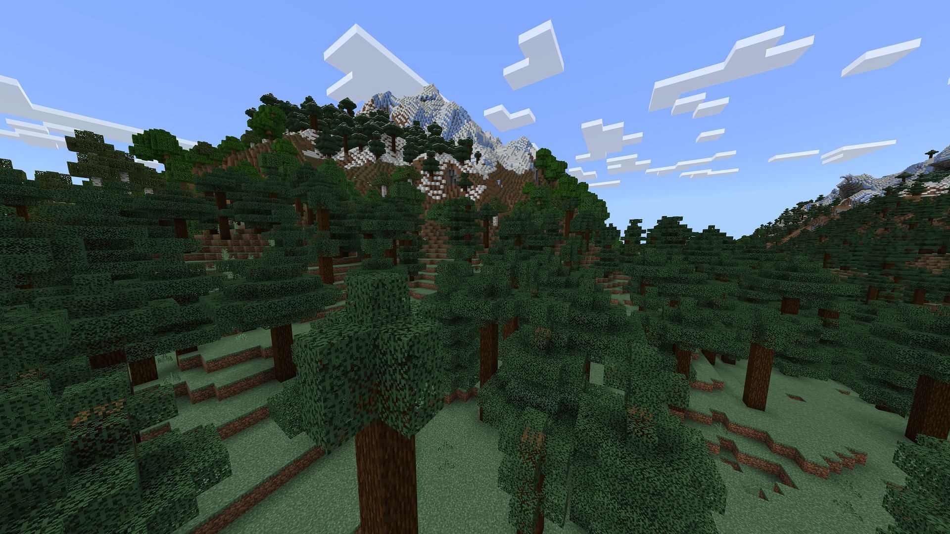 Taiga has a better generation of trees and ferns thanks to the Minecraft Bedrock 1.21.60 update (Image via Sportskeeda Gaming/Mojang Studios)