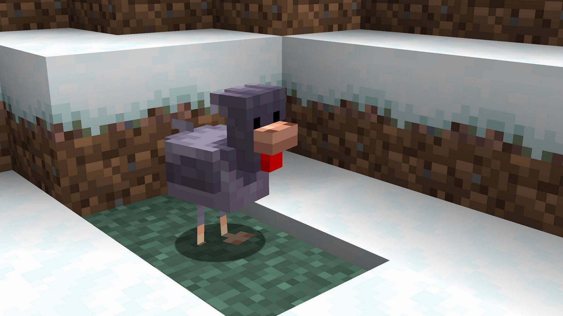 The cold chicken variant has a slightly different texture and model (Image via Mojang Studios)