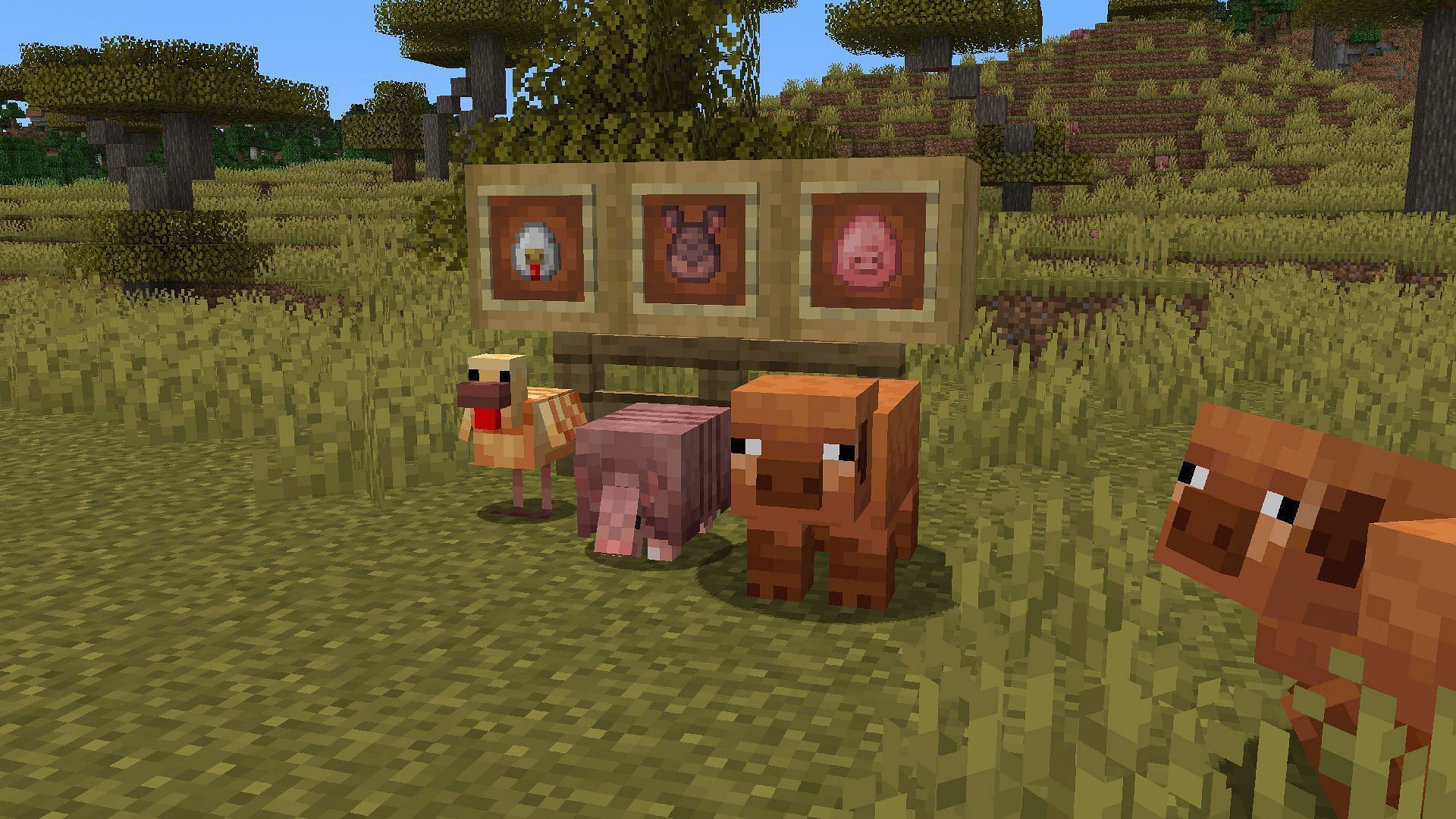 New animal variants have also been added to Minecraft (Image via Mojang Studios)