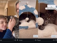 Freddie Freeman's wife Chelsea shows the new cat cave for Champ. Source - Instagram/@chelseafreeman5