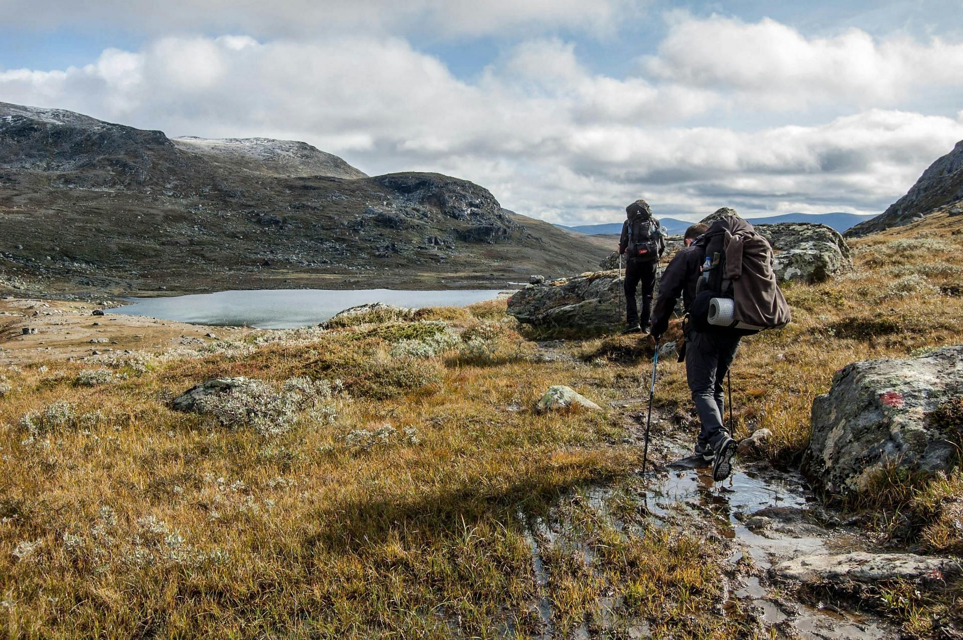 20/20 season 47 episode 19 subject Toni was murdered while on a hiking trip (Image via Pexels)