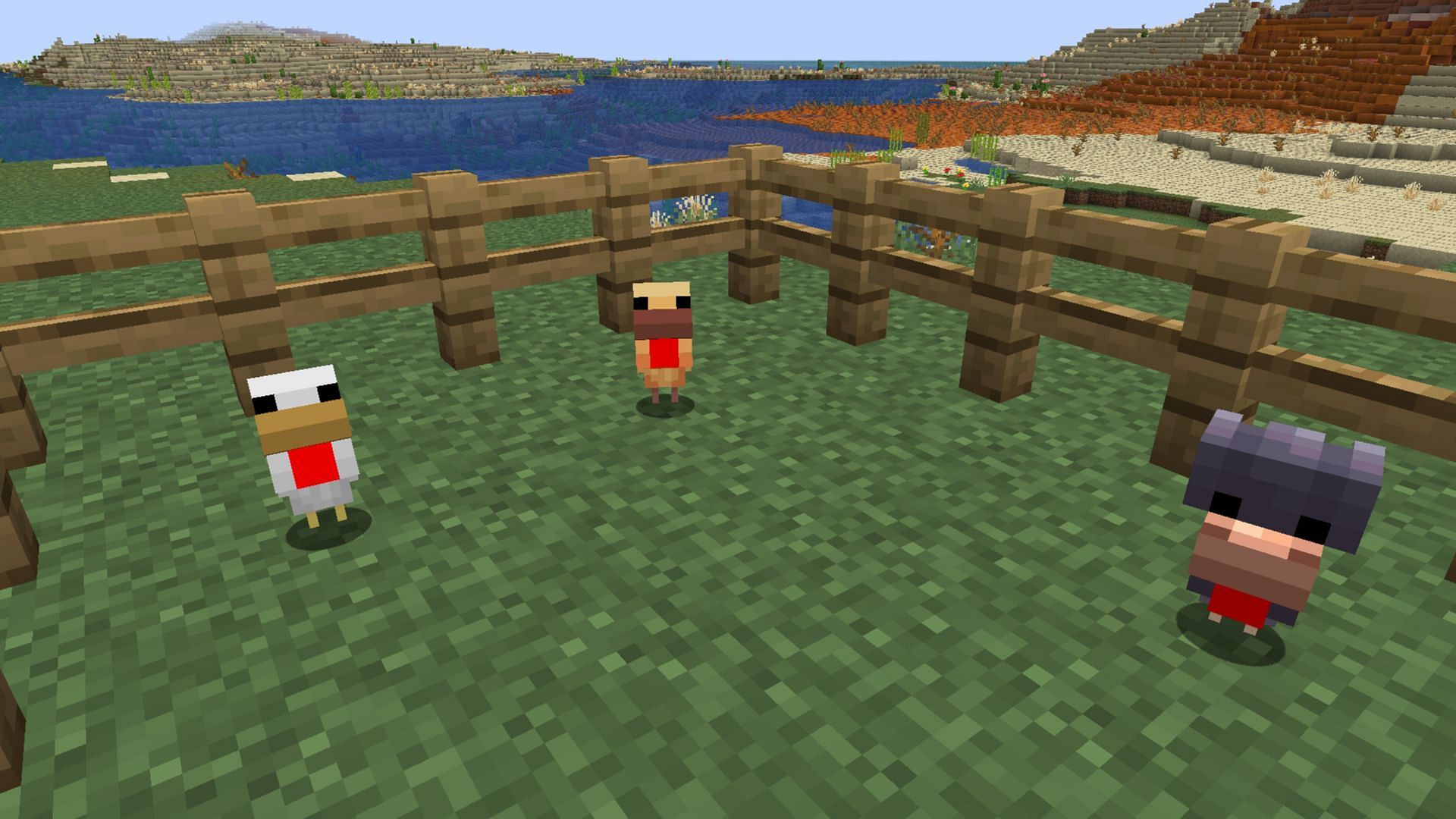 There are now three Minecraft chicken variants (Image via Sportskeeda Gaming/Mojang)