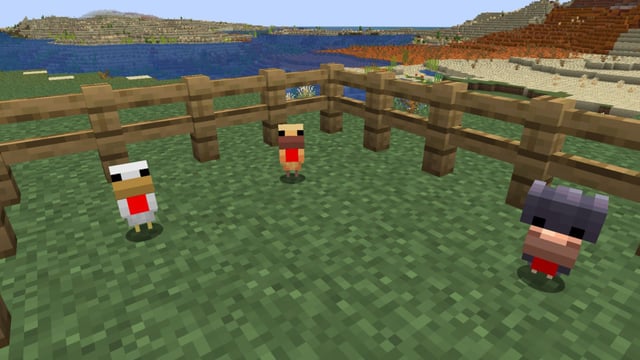 Minecraft chicken variants: Everything you need to know