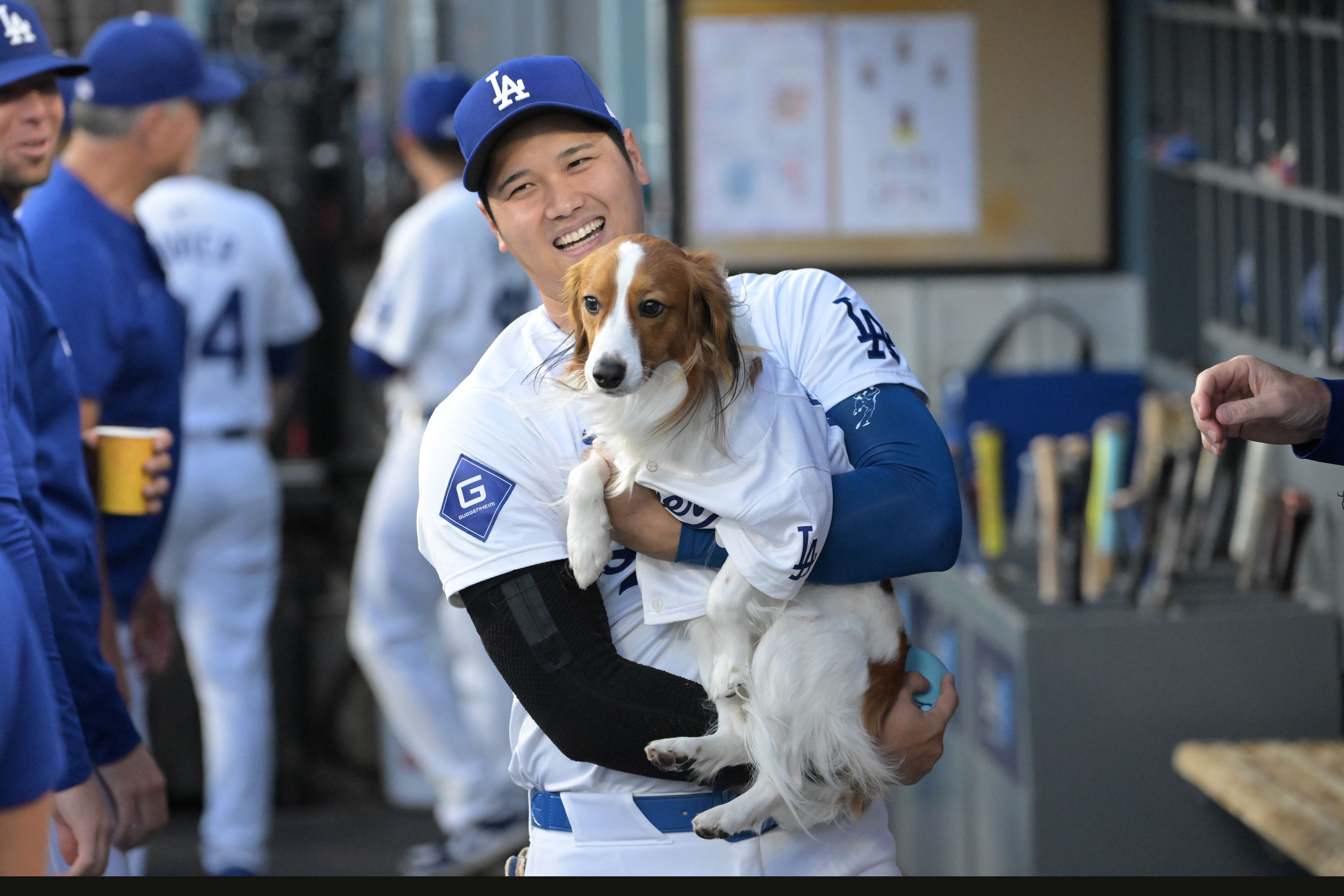 MLB: Baltimore Orioles at Los Angeles Dodgers - Source: Imagn