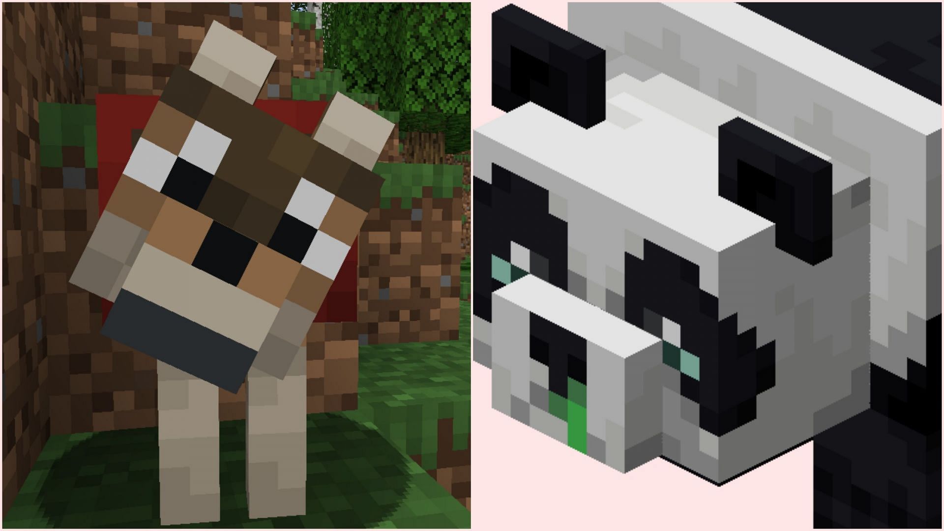 Wolves can have more facial expressions like pandas (Image via Sportskeeda Gaming/Mojang)