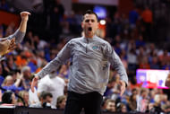 Coach Todd Golden's Florida Gators have climbed to No. 2 in the AP poll. (Photo Credit: IMAGN)