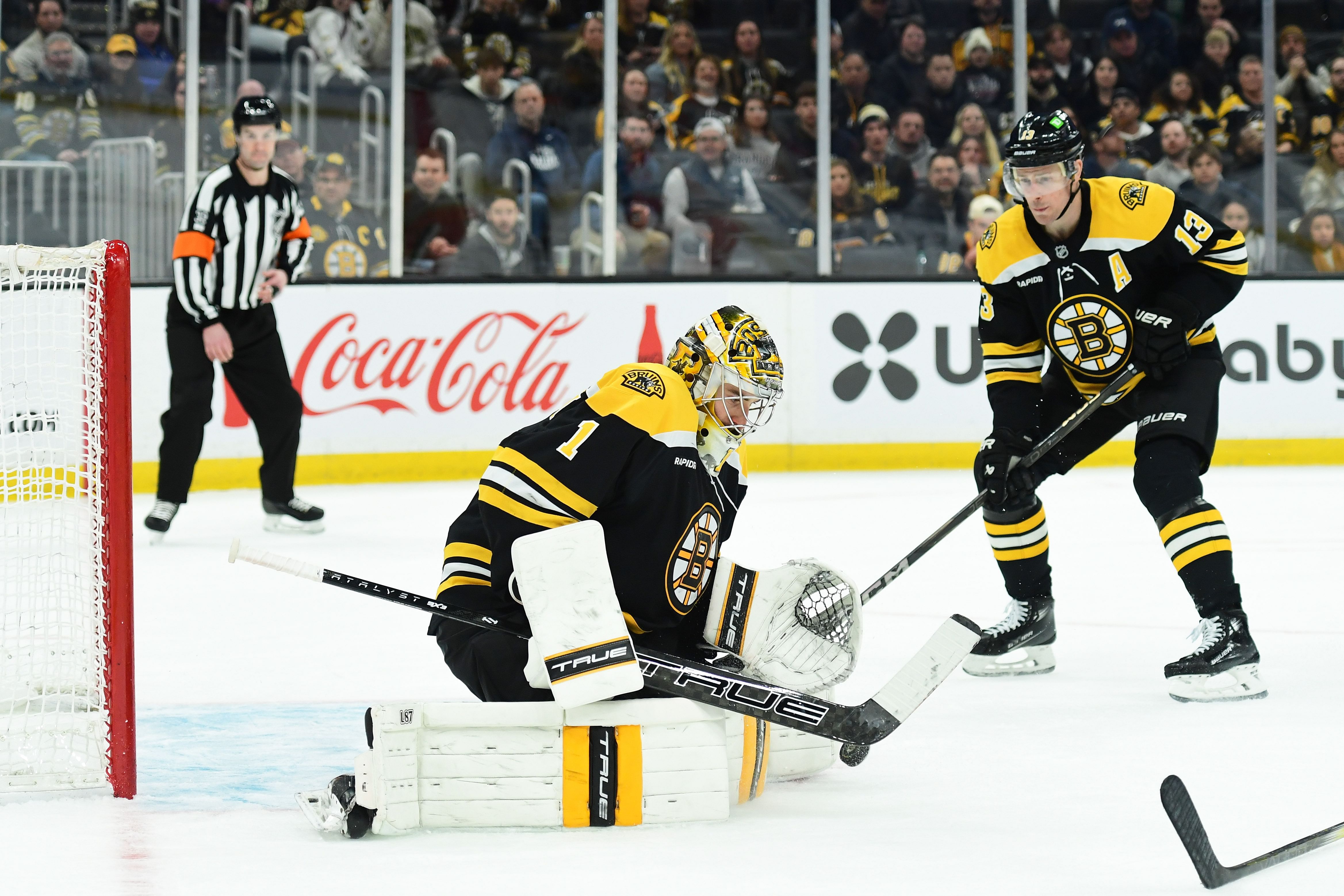 The Boston Bruins are home underdogs (Imagn)