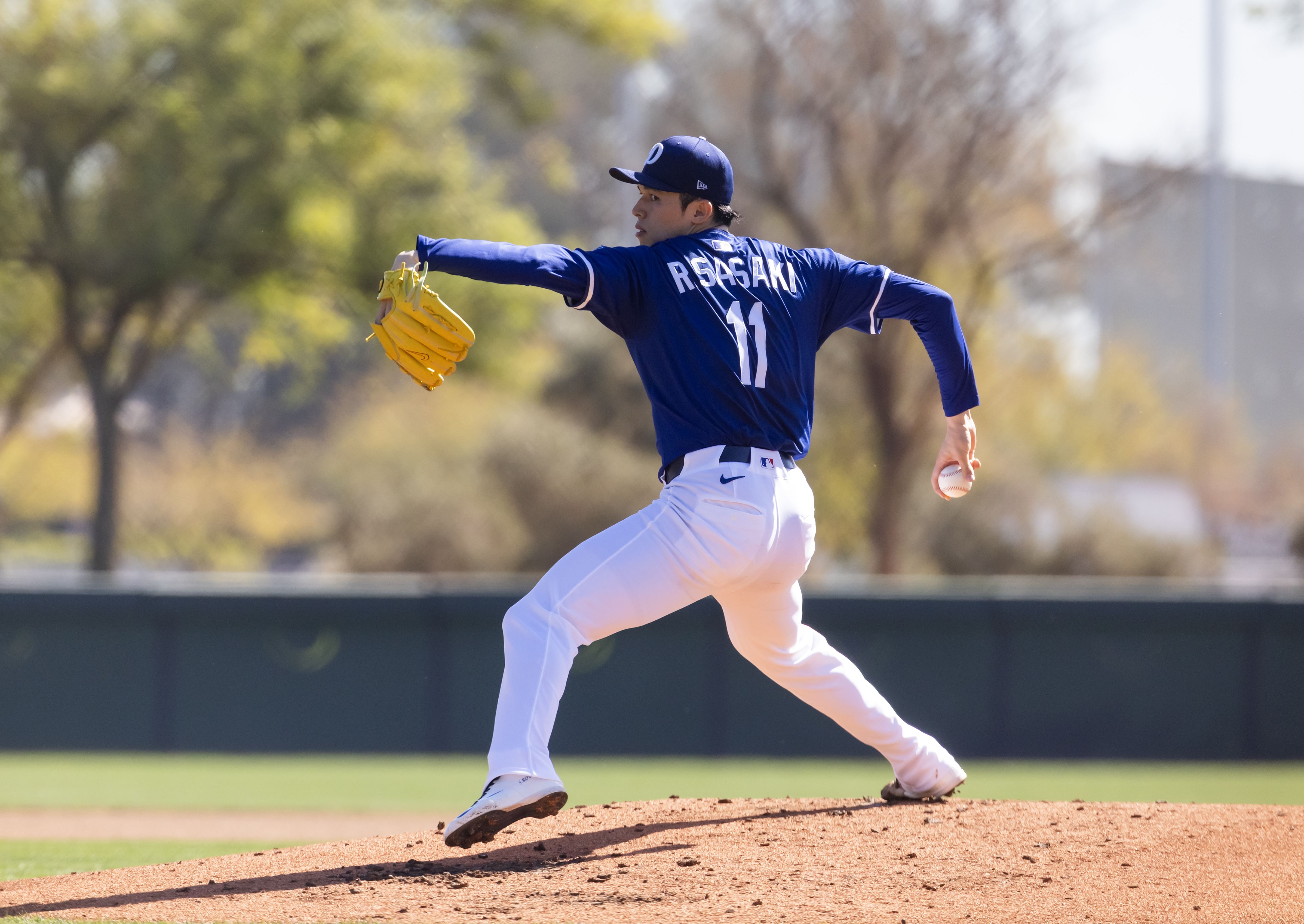 Roki Sasaki threw a good bullpen session (Imagn)