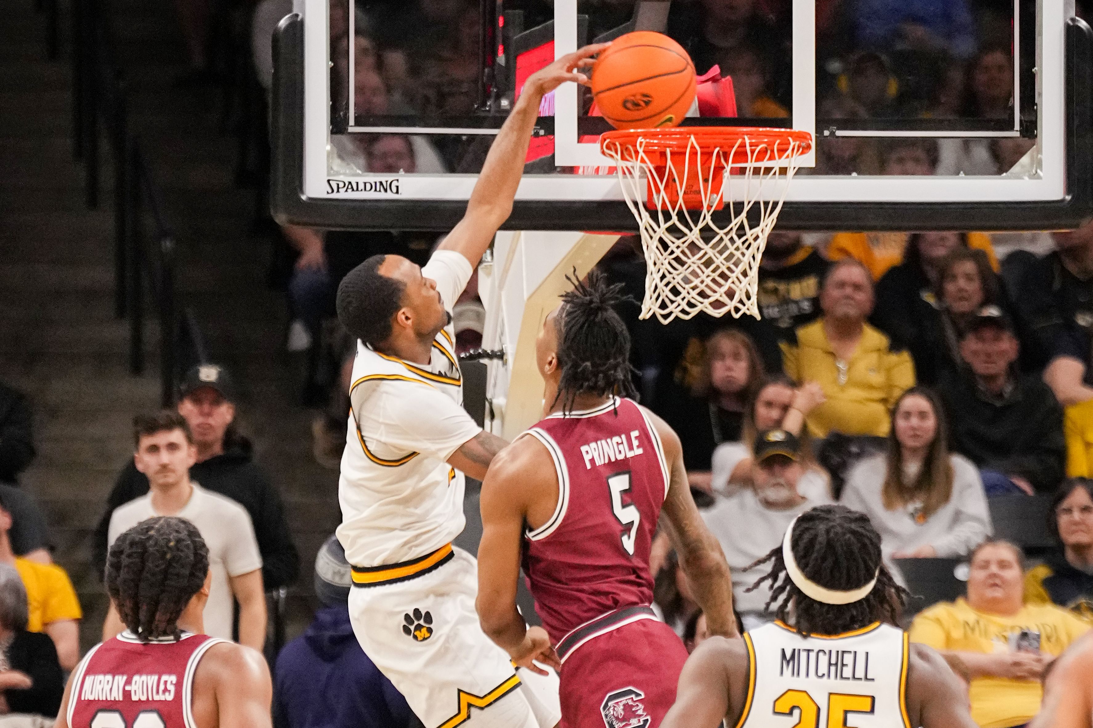 NCAA Basketball: South Carolina at Missouri - Source: Imagn