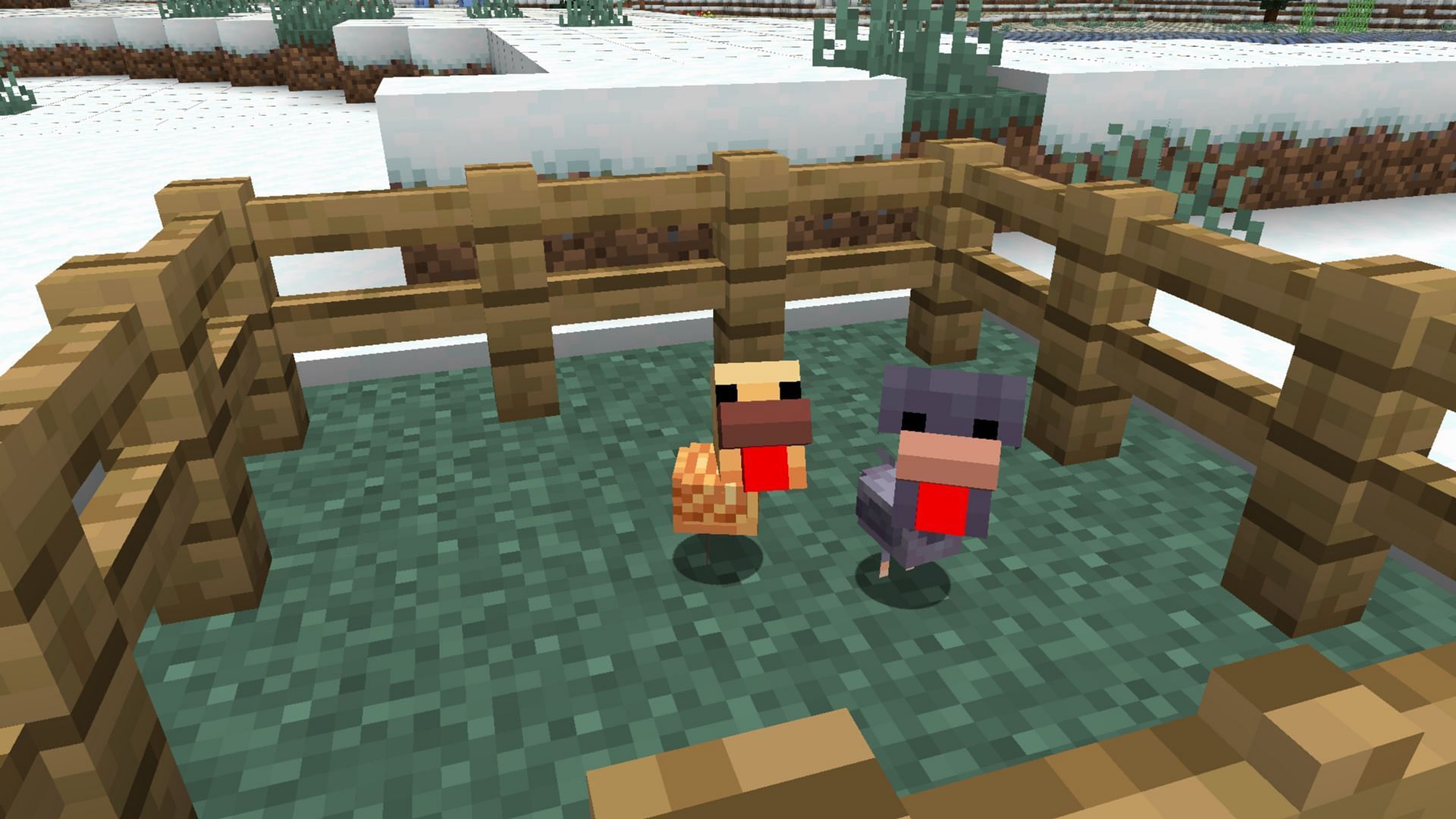 Minecraft snapshot 25w06a introduces two new variants for the chicken mob (Image via Mojang Studios)