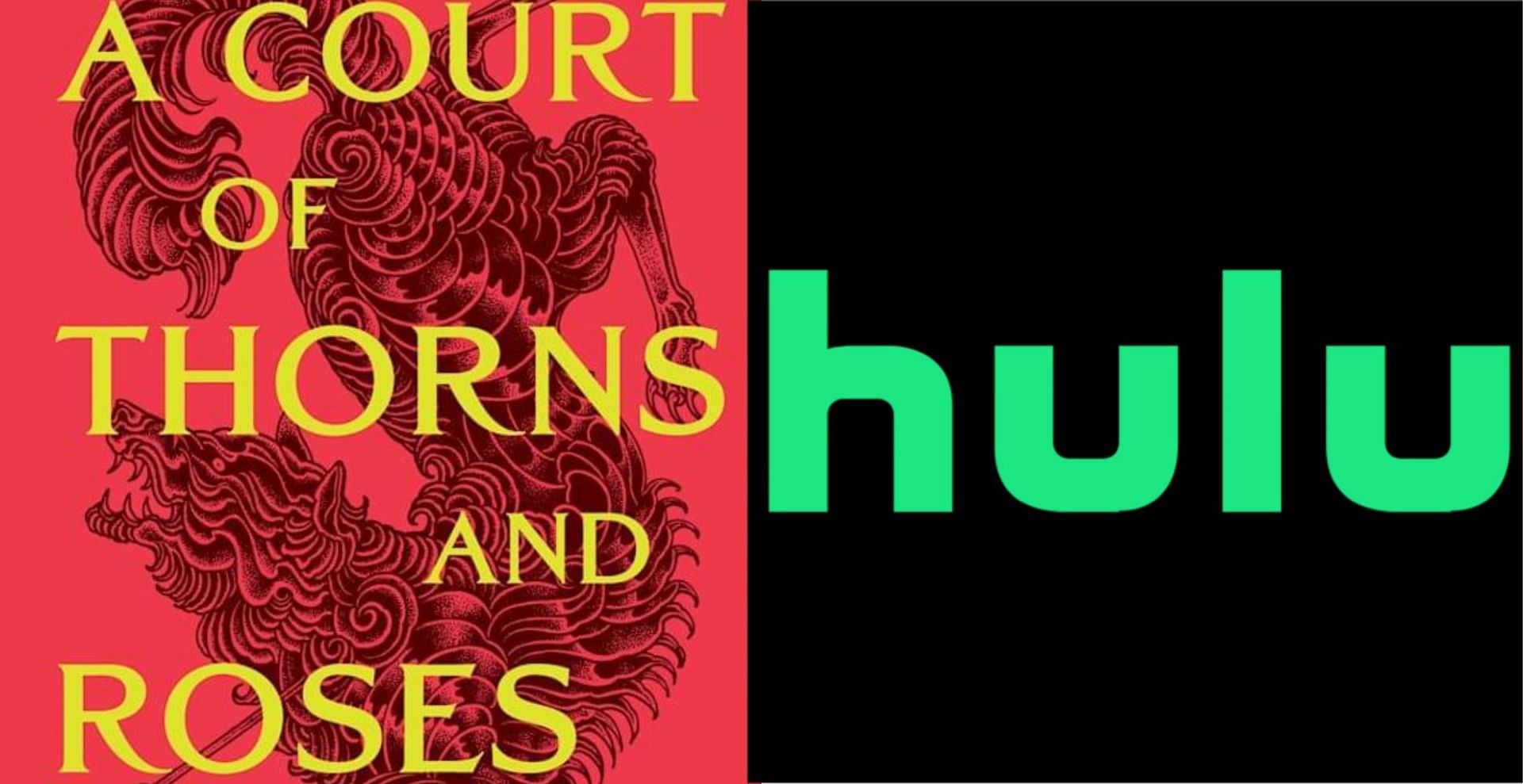 Hulu not moving forward with A Court of Thorns and Roses adaption