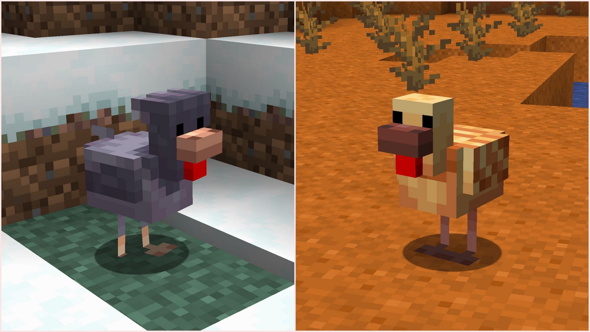 Mojang finally introduces two new chicken variants to Minecraft (Image via Mojang Studios)