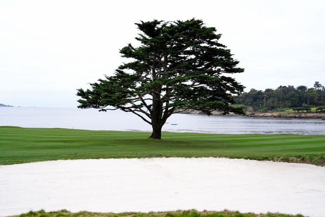 How old is Pebble Beach's iconic Cypress Tree? History explored