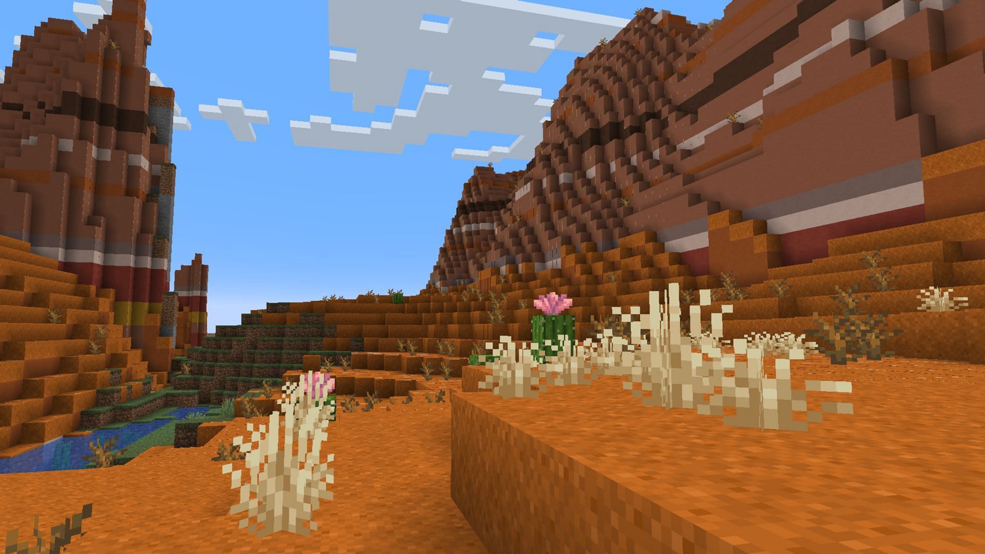 You can easily spot the dry grass in badlands and desert biomes (Image via Mojang Studios)