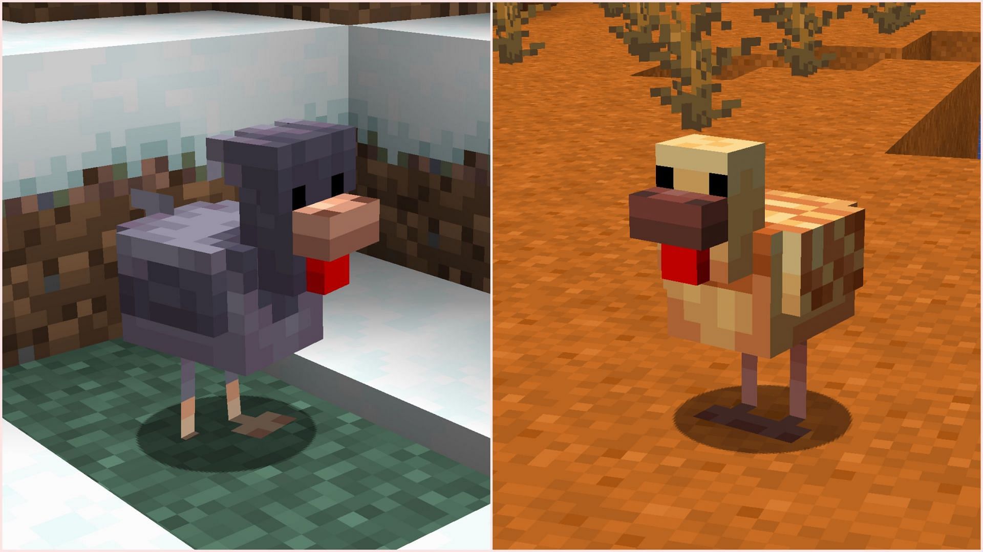 Warm and cold chicken variants introduced for upcoming game drop (Image via Mojang Studios)