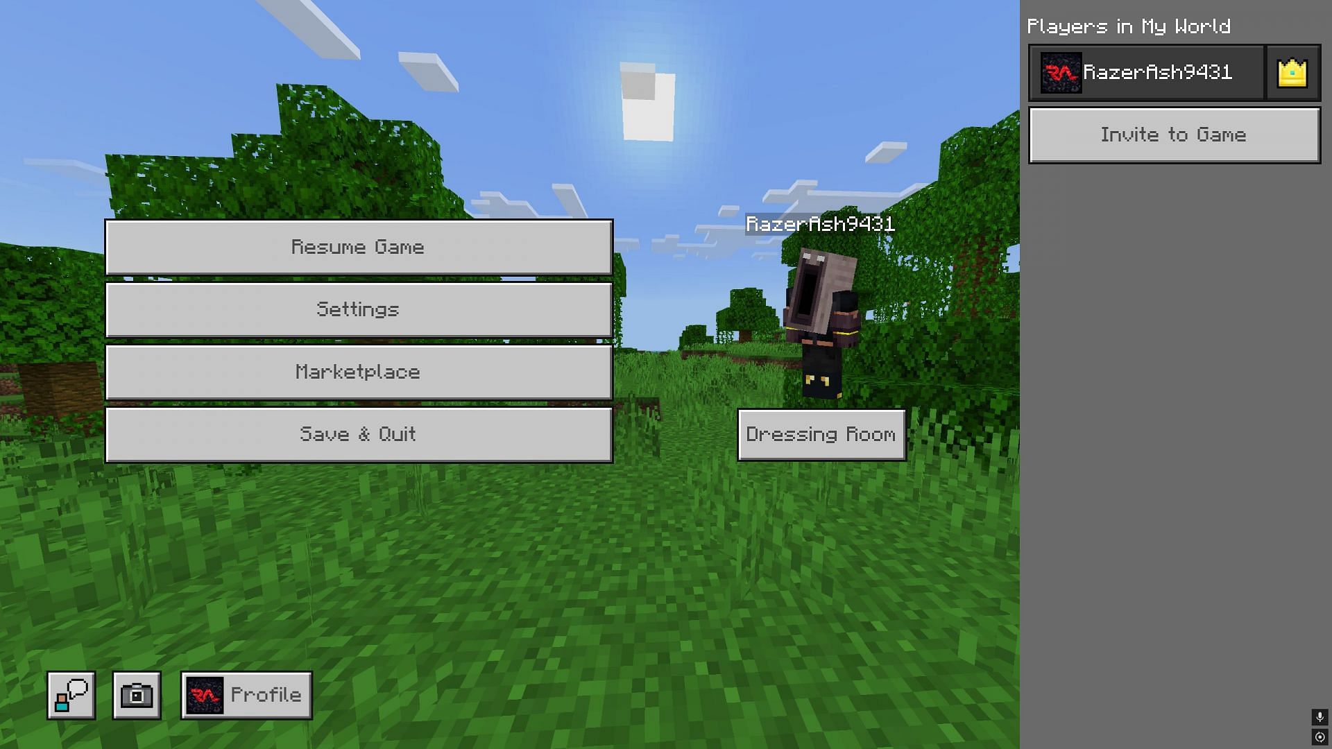 The game does not pause in the 1.21.60 update (Image via Image via Mojang Studios || Sportskeeda Gaming)