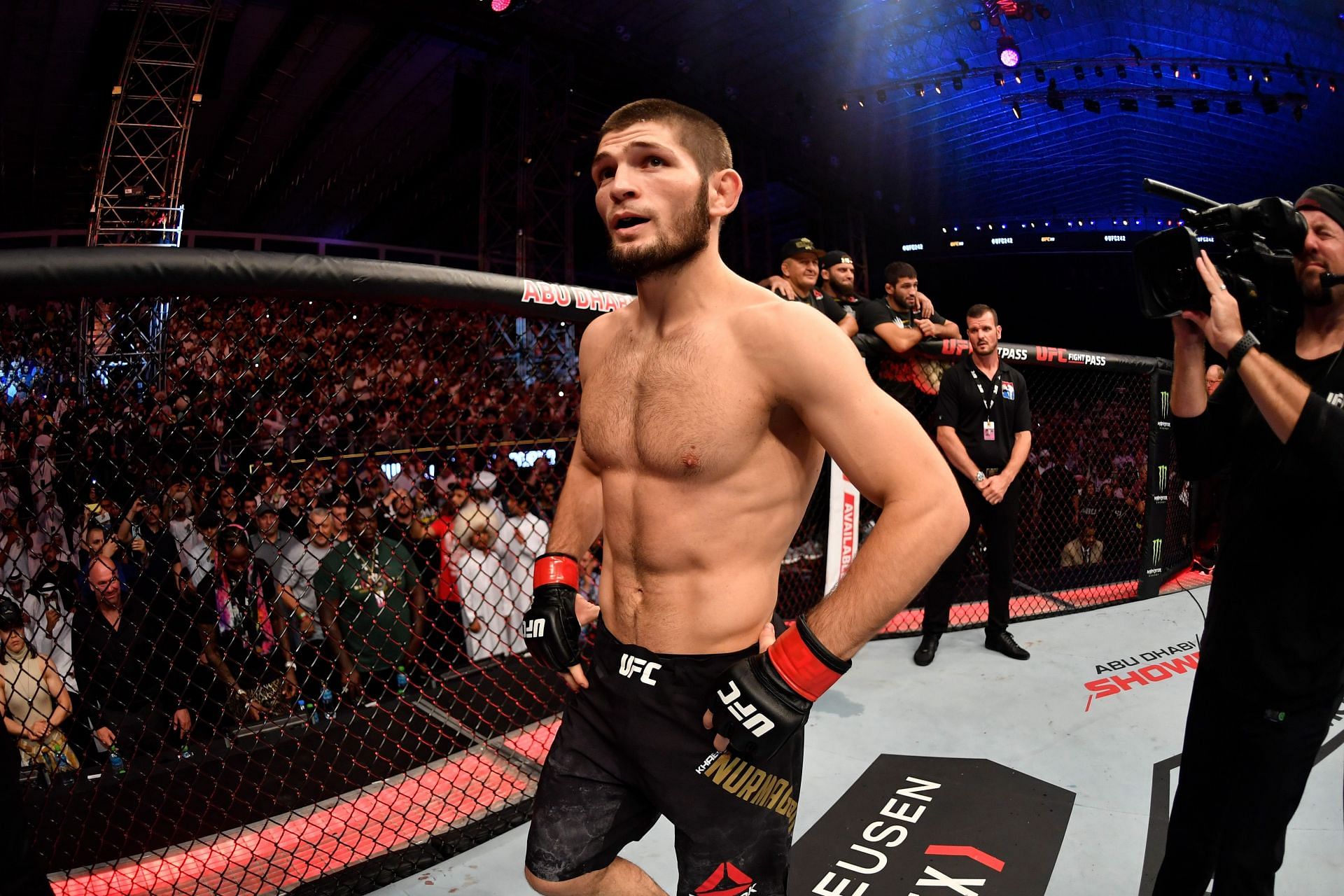 UFC 242: Khabib v Poirier - Source: Getty