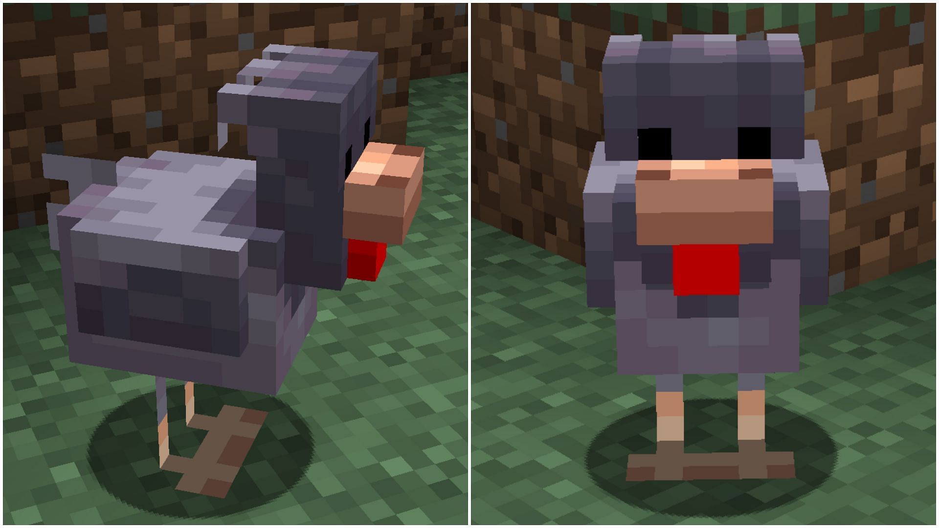 Cold chickens will have a dark purple color with larger heads and tails (Image via Mojang Studios || Sportskeeda Gaming)