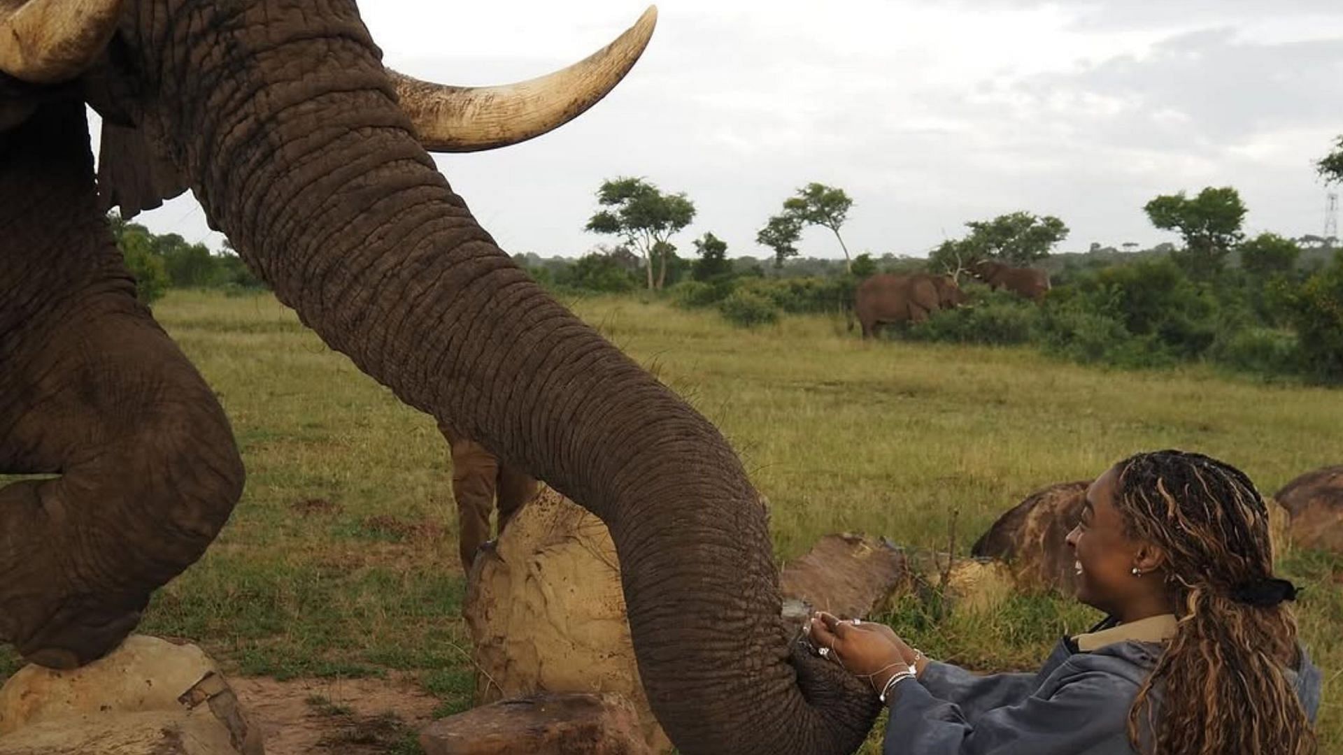 Simone Biles shares a special moment with elephant during her wildlife honeymoon with Jonathan Owens [Image Source : Simone Biles